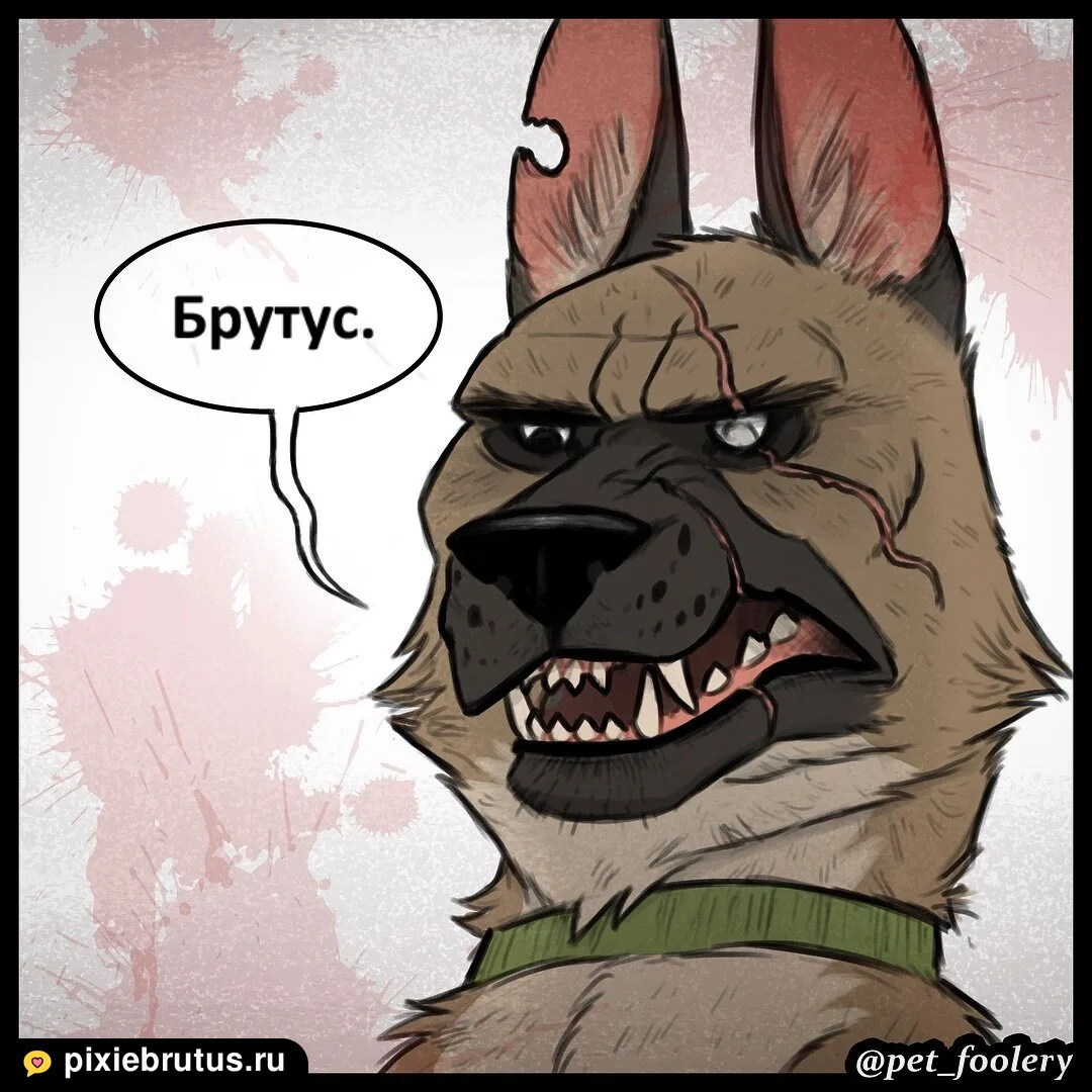 «Новый большой брат», кадр 3 из 5