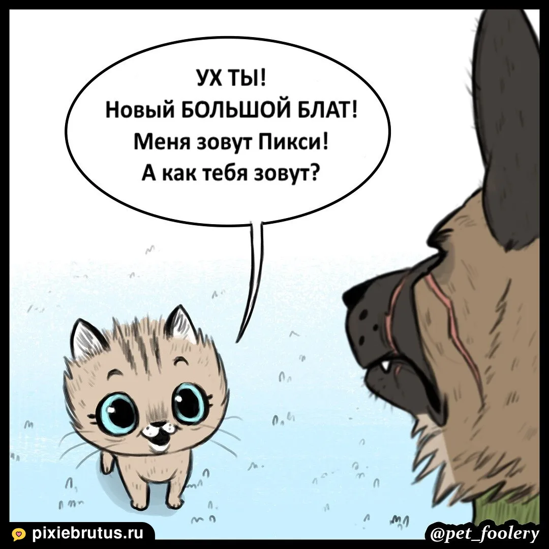 «Новый большой брат», кадр 2 из 5