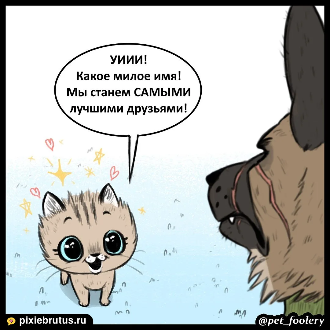 «Новый большой брат», кадр 4 из 5
