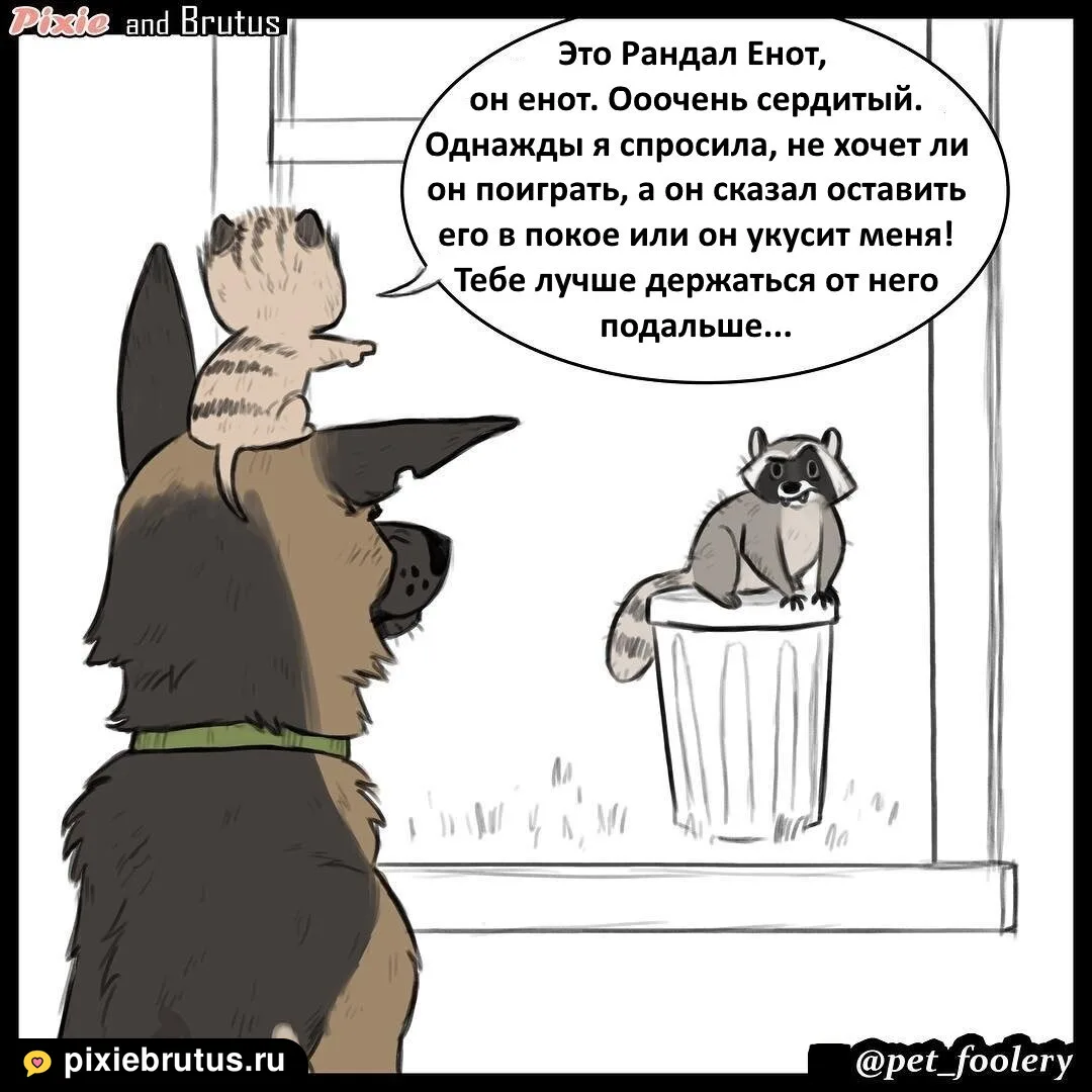 «Самые опасные места в доме», кадр 4 из 6