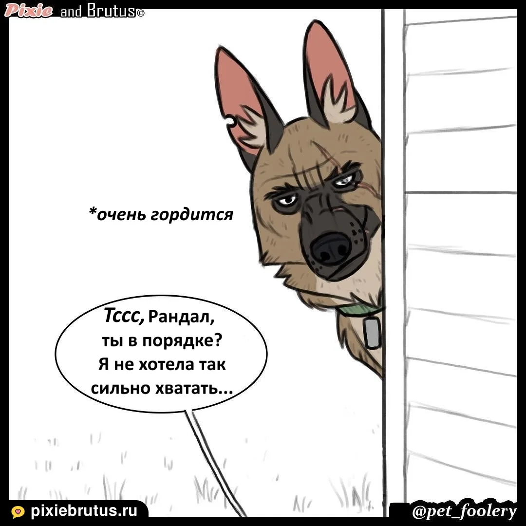 «Задержание опасного преступника», кадр 8 из 8
