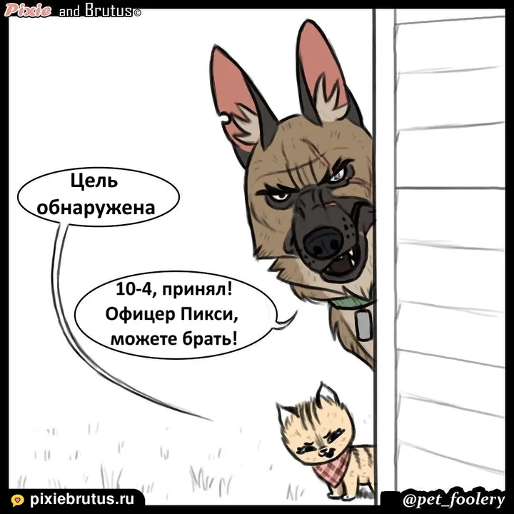 Задержание опасного преступника — первый кадр